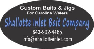 shallotteinletbait